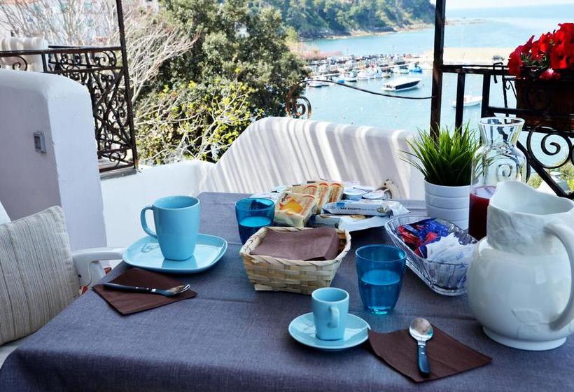 مبيت وإفطار Domus Sirenae