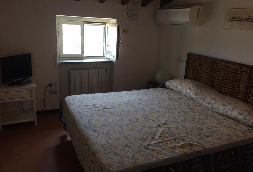 مبيت وإفطار Domus Sirenae