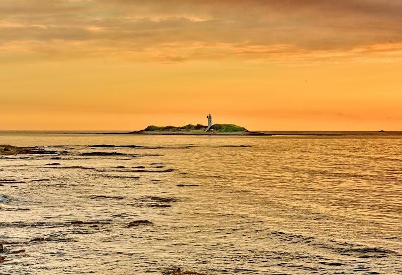 مبيت وإفطار Domus Sirenae