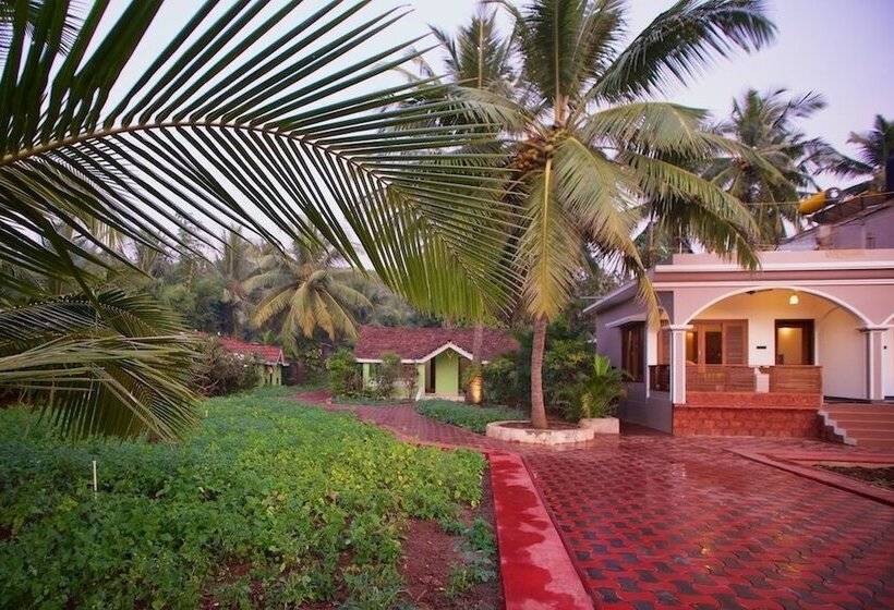 Dunhill Beach Resort