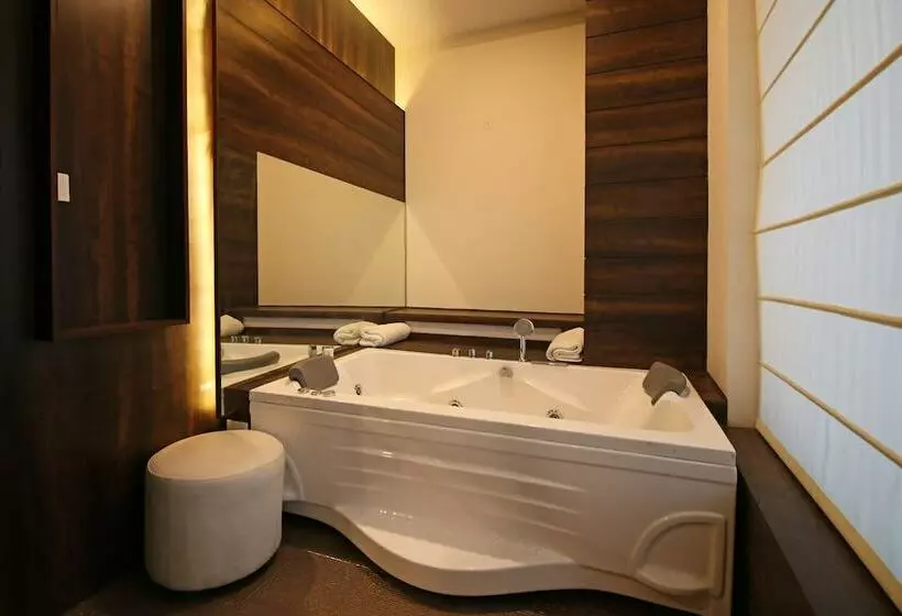 Hotel Arjun Clarks Inn