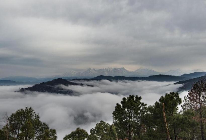 Отель The Orchard At Peora Estates