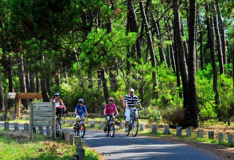 Курорт Vtf La Forestière