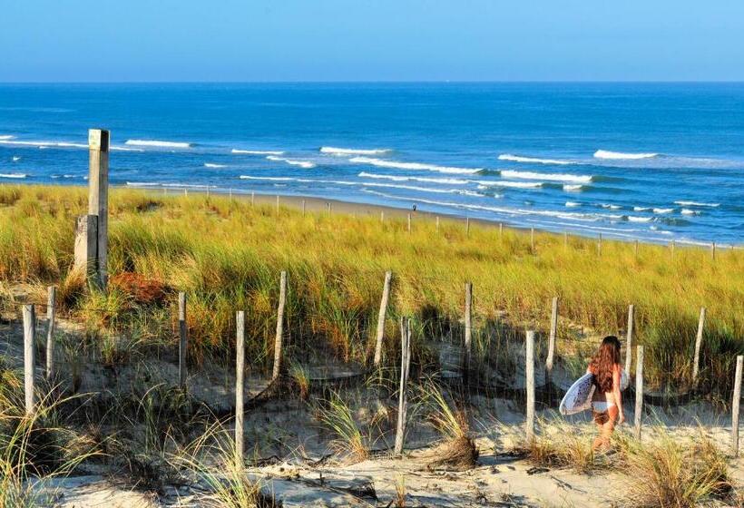 Курорт Vtf La Forestière