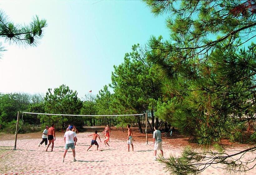 Курорт Vtf La Forestière