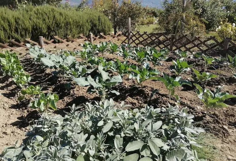 Aamiaismajoitus (B&B) Il Fienile Di Assisi