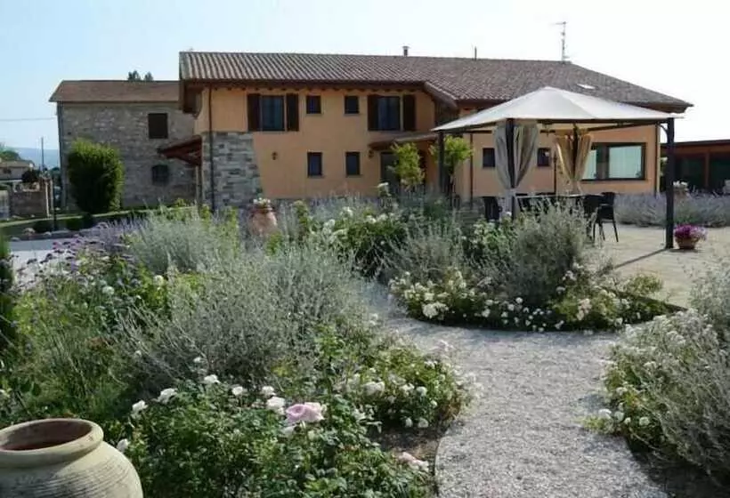 Aamiaismajoitus (B&B) Il Fienile Di Assisi