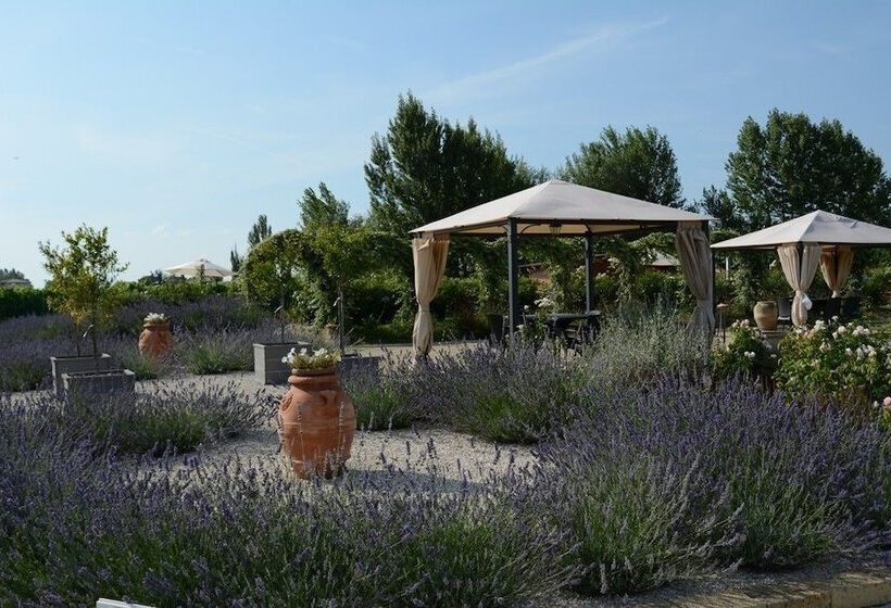 Bed and Breakfast Il Fienile Di Assisi