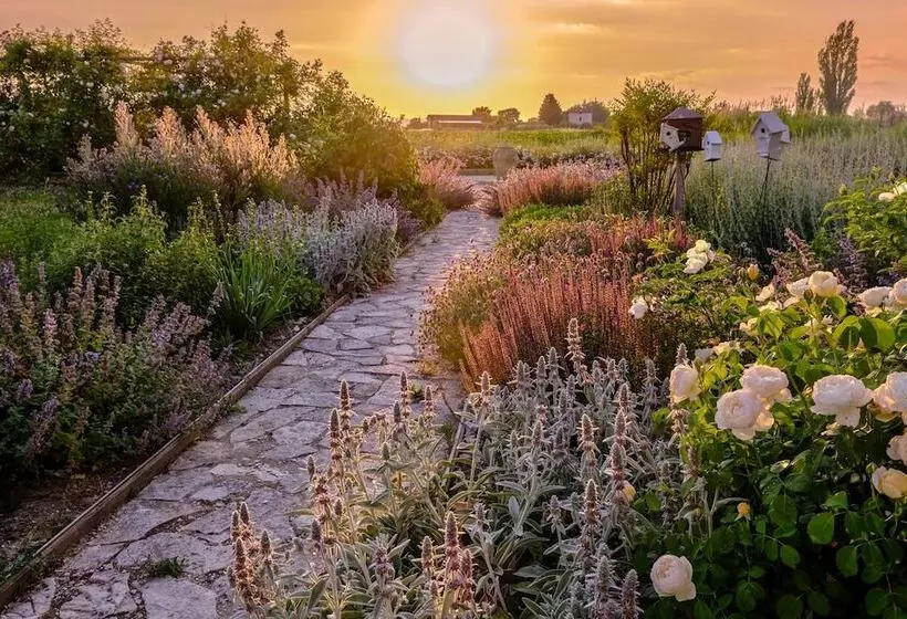 Aamiaismajoitus (B&B) Il Fienile Di Assisi