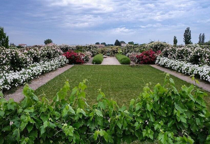 Bed and Breakfast Il Fienile Di Assisi