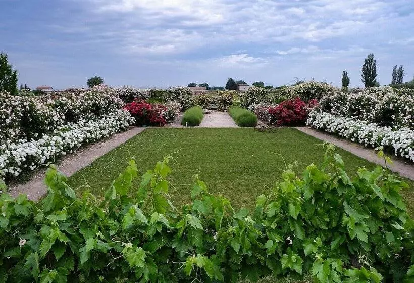 Aamiaismajoitus (B&B) Il Fienile Di Assisi