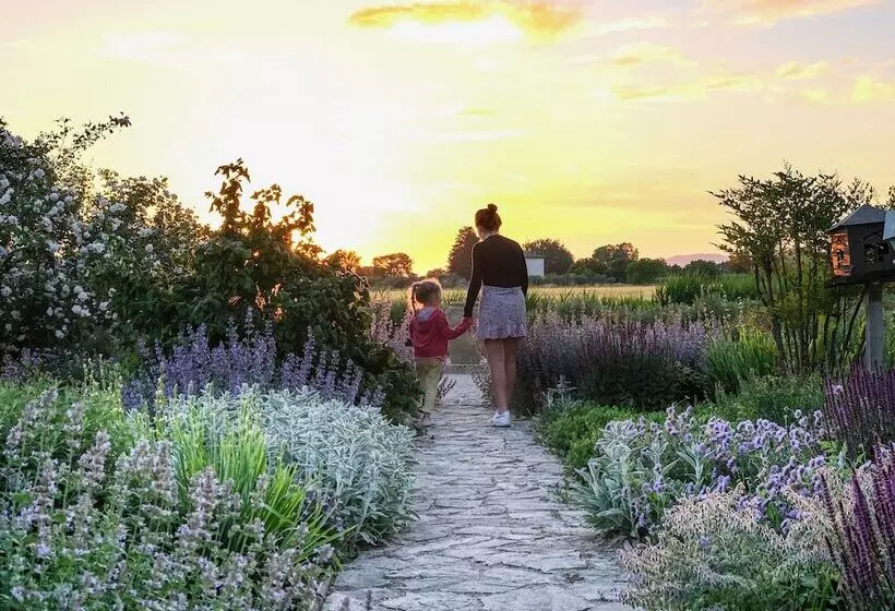 Aamiaismajoitus (B&B) Il Fienile Di Assisi