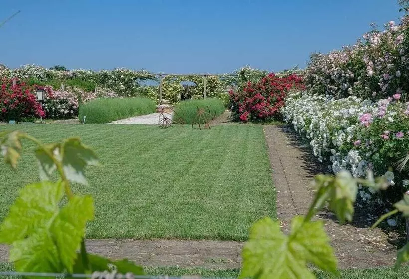 Aamiaismajoitus (B&B) Il Fienile Di Assisi