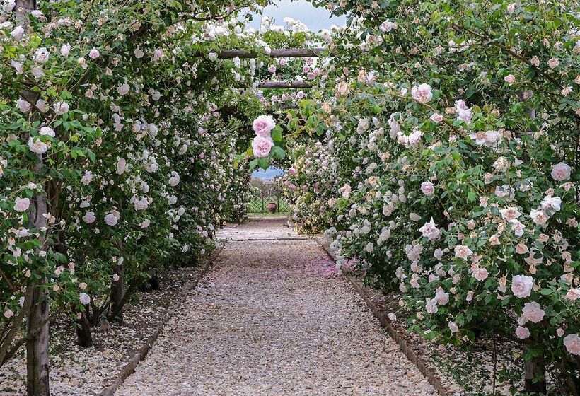 Bed and Breakfast Il Fienile Di Assisi