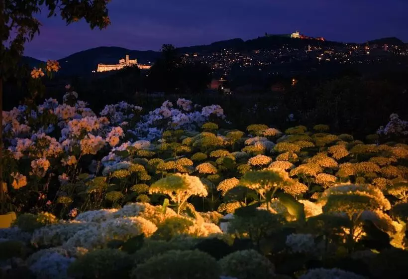 Aamiaismajoitus (B&B) Il Fienile Di Assisi