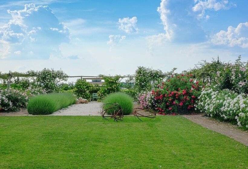 Bed and Breakfast Il Fienile Di Assisi