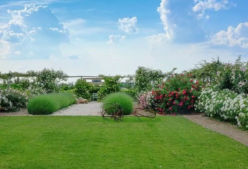 Aamiaismajoitus (B&B) Il Fienile Di Assisi