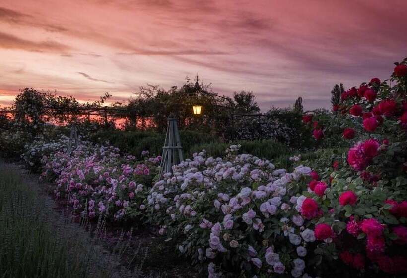 Bed and Breakfast Il Fienile Di Assisi