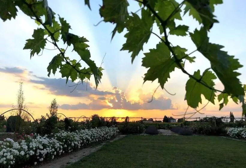 Aamiaismajoitus (B&B) Il Fienile Di Assisi