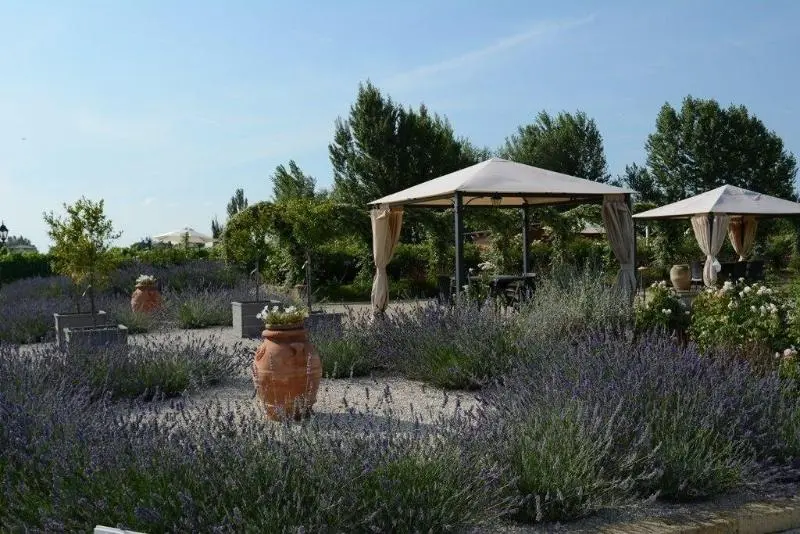 Aamiaismajoitus (B&B) Il Fienile Di Assisi