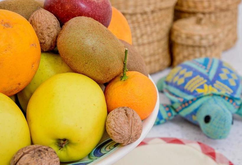 مبيت وإفطار La Tortuga