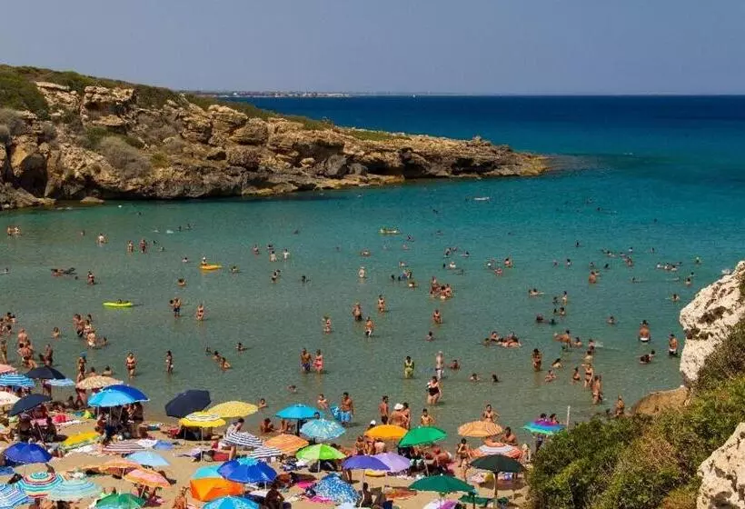 Aamiaismajoitus (B&B) Le Tre Rose Di Maria