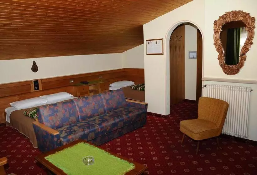 ホテル Serles Superior