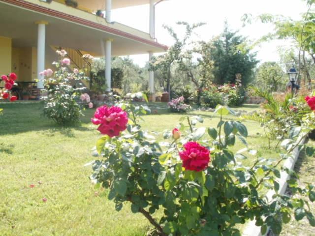 تختخواب و صبحانه Agriturismo Le Quattro Stagioni