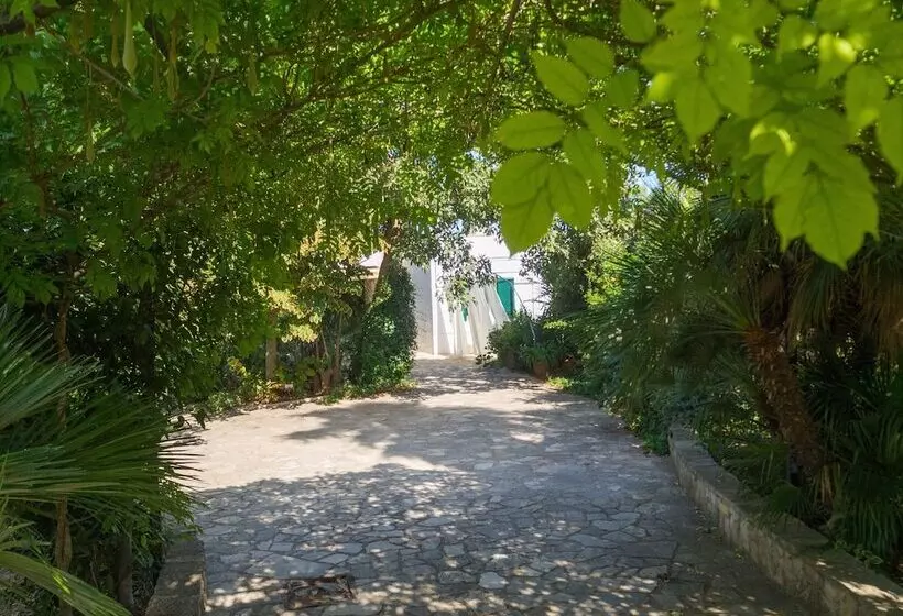 Aamiaismajoitus (B&B) Kalinifta   Io Parto Io Arrivo