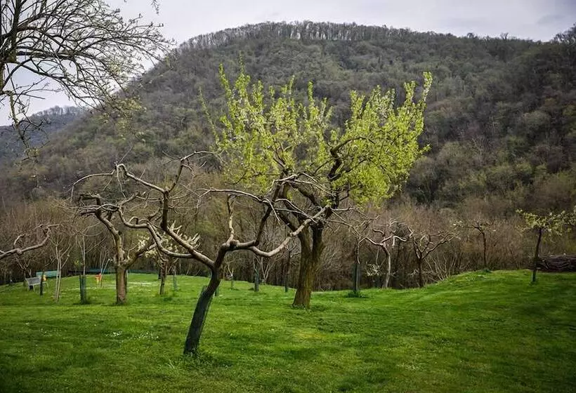 Bed And Breakfast La Quiete