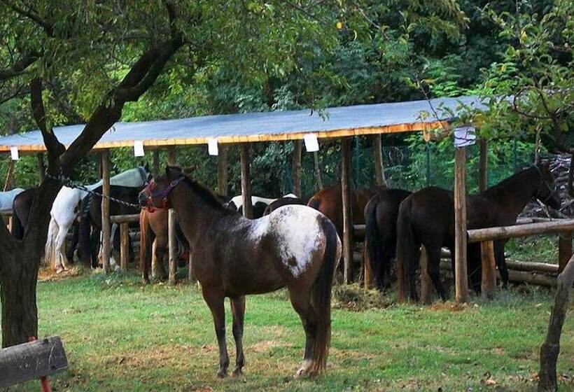 Bed And Breakfast La Quiete