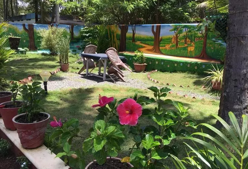 Divine Bliss Beach Resort