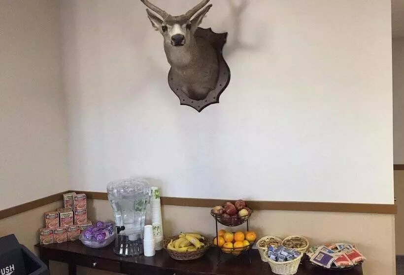 Hotelli Geyser Inn