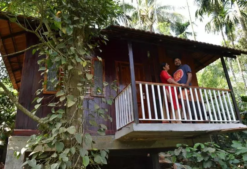 Little Home Resort