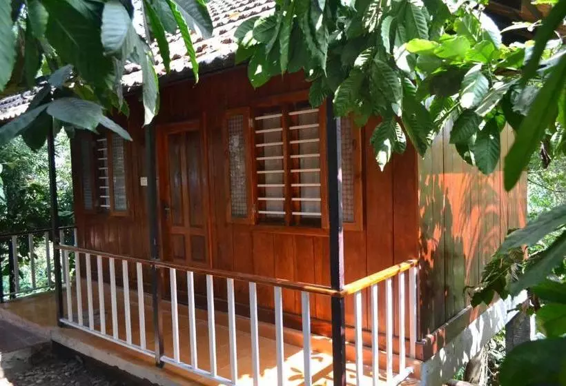 Little Home Resort