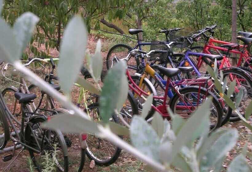 مبيت وإفطار Al Riparo Affittacamere