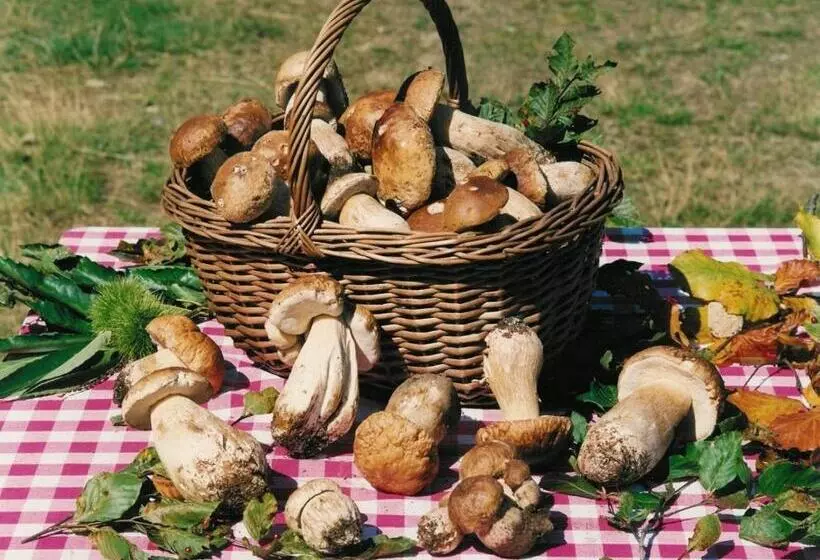 Aamiaismajoitus (B&B) Cascina Manu