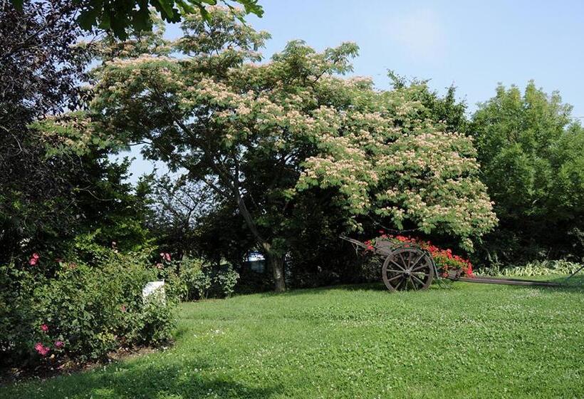 مبيت وإفطار Cascina Manu