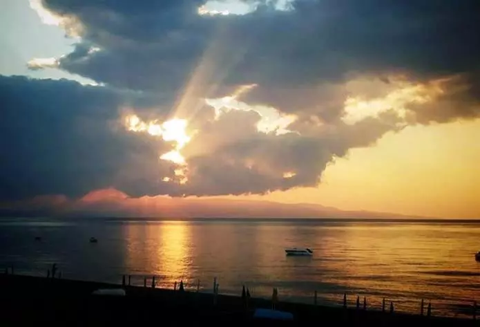 ベッドアンドブレックファースト Colapesce