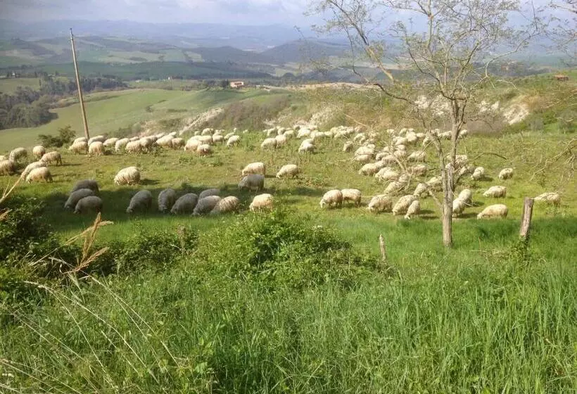 Aamiaismajoitus (B&B) In Canto Sul Poggio