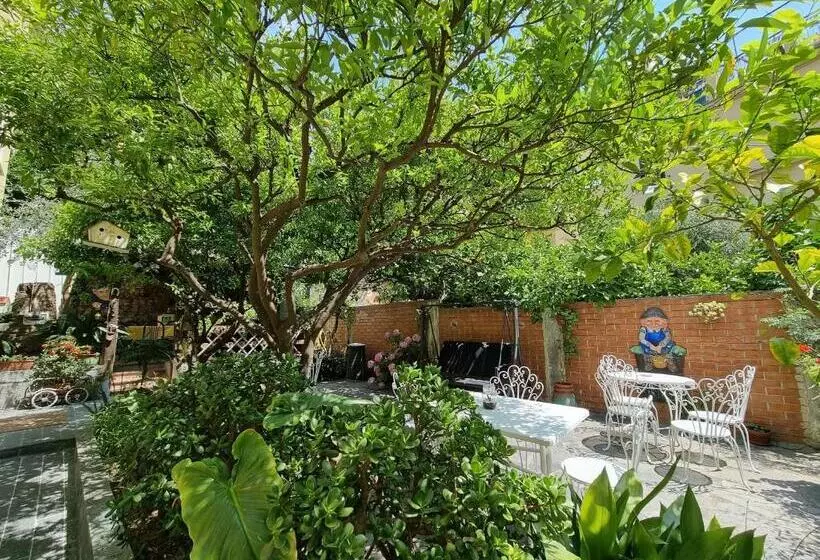 ベッドアンドブレックファースト Villa Pina