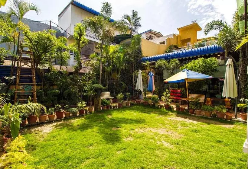 Hotel Ashrey