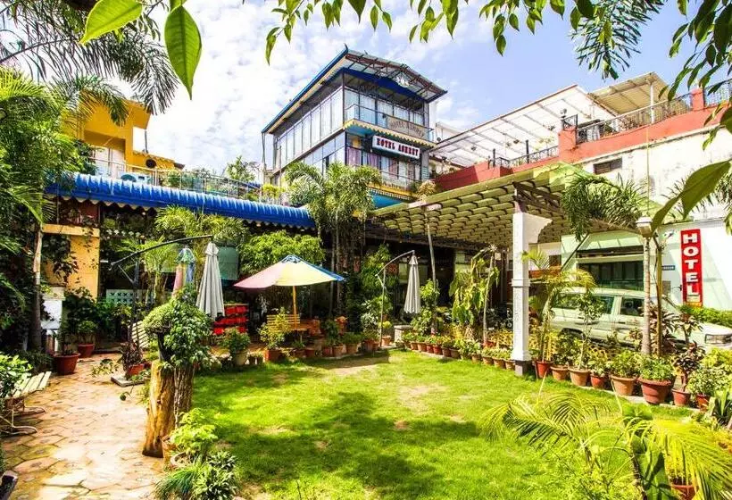 Hotel Ashrey