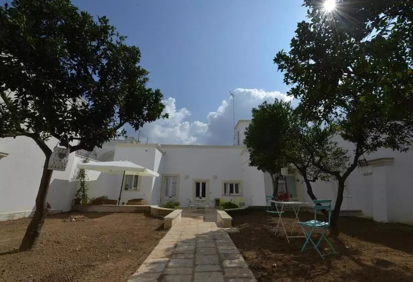B&b Santachiara