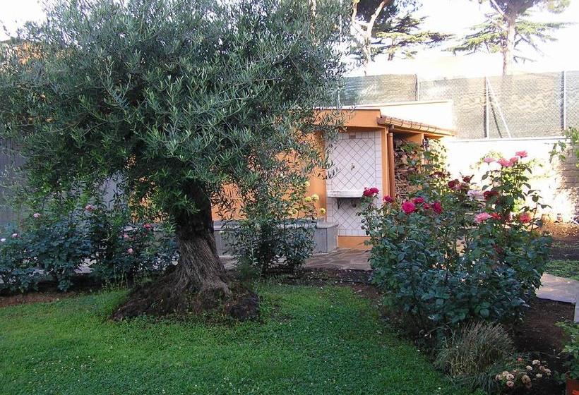 Bed and Breakfast Al Vecchio Olivo