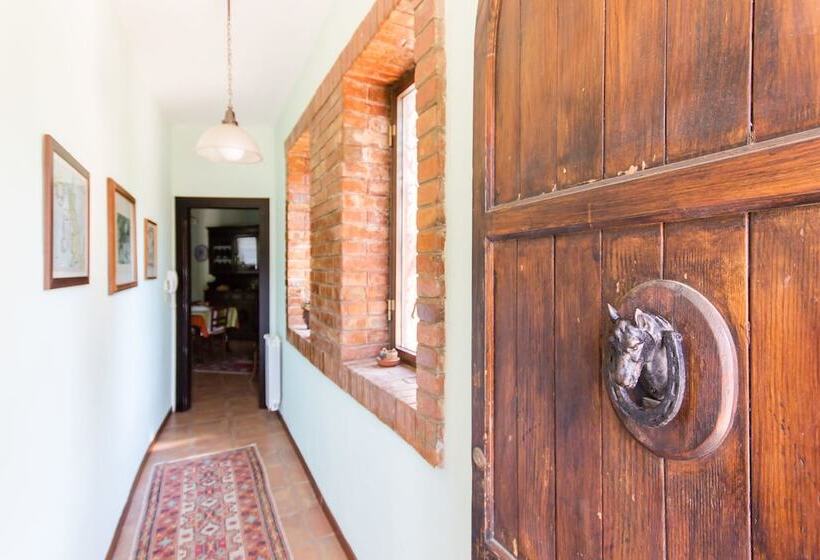 تختخواب و صبحانه Don Ciccio Sea House