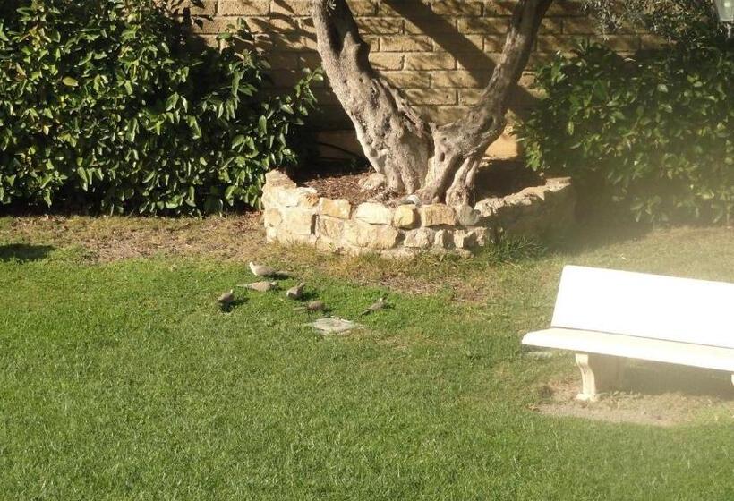 Bed And Breakfast La Corte Degli Ulivi