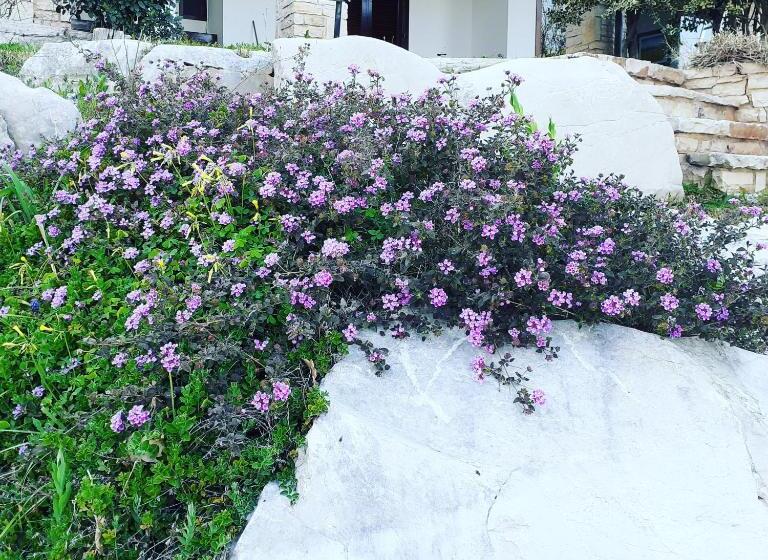 住宿加早餐  Maglioferro Residence