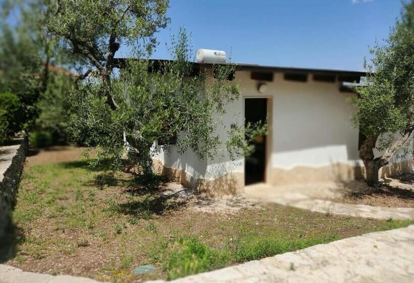 住宿加早餐  Maglioferro Residence