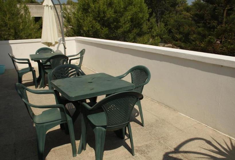 Bed and Breakfast Smit House